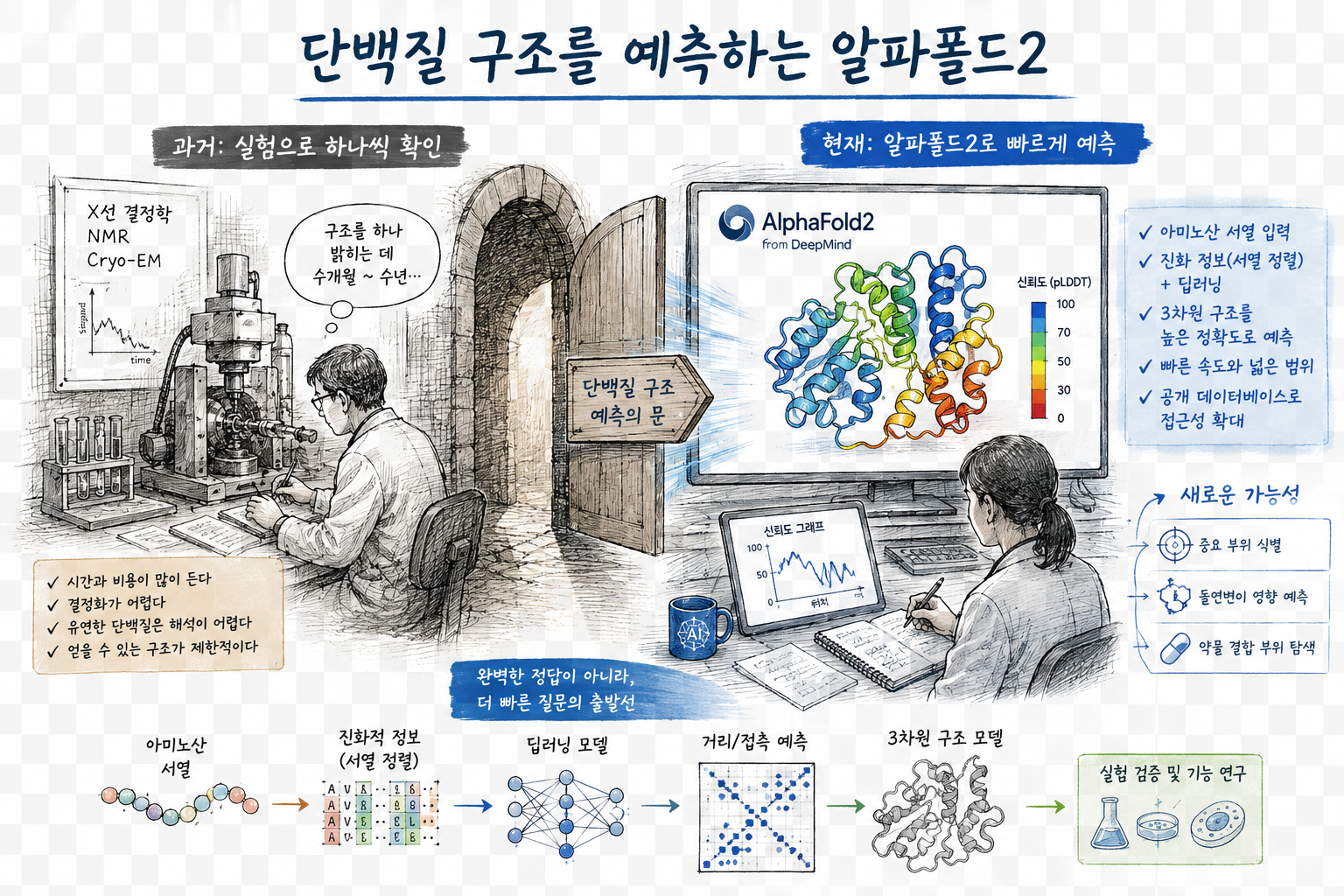 단백질 구조를 예측하는 알파폴드2