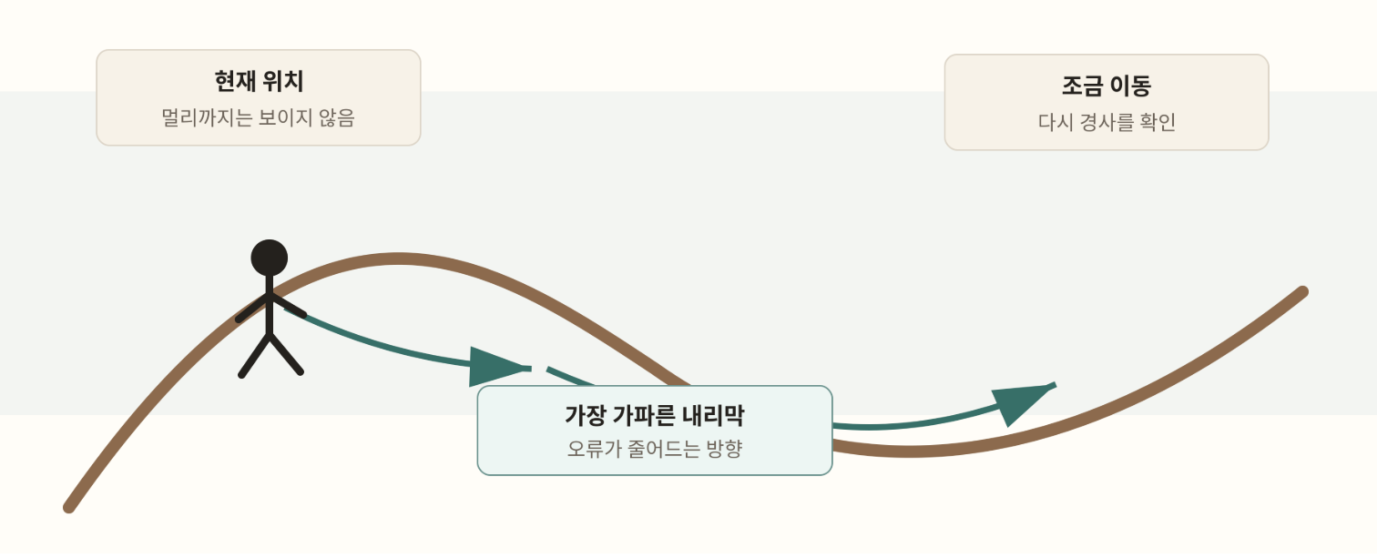 현재 위치에서 가장 가파른 내리막을 찾아 조금 이동하고 다시 확인하는 경사하강법 비유