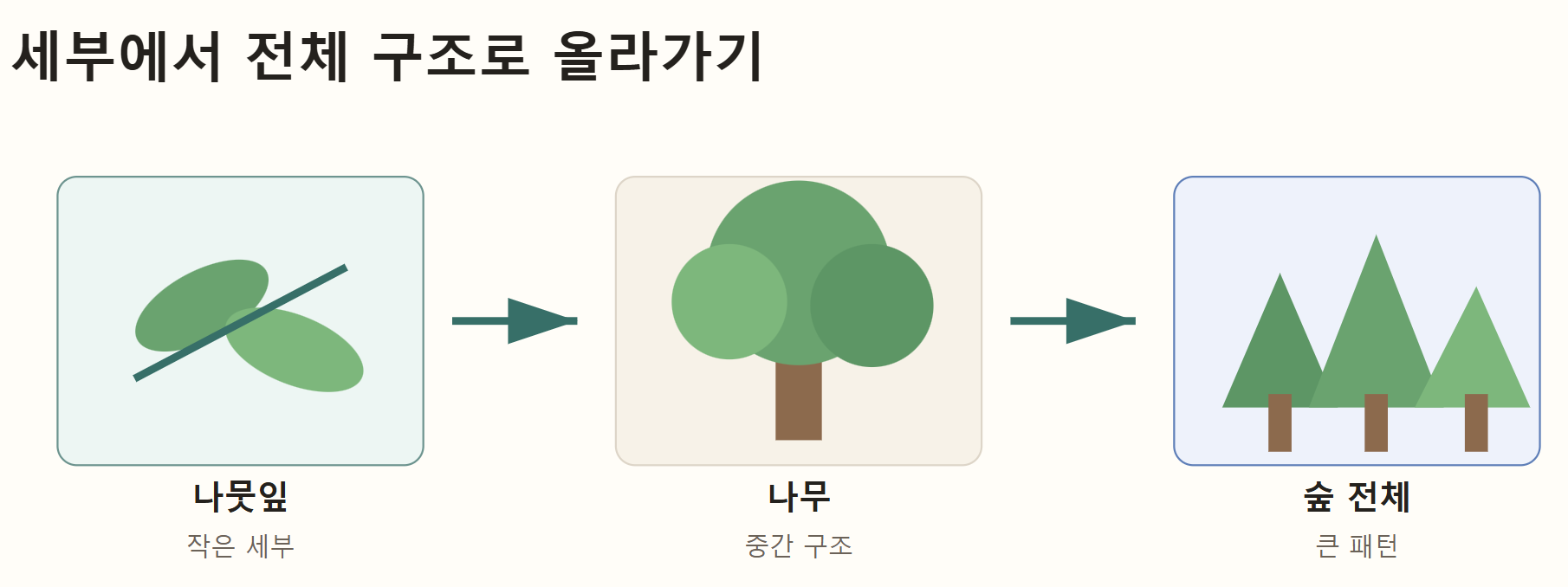 나뭇잎 클로즈업에서 나무, 숲 전체로 올라가며 큰 구조를 보는 재규격화군 비유